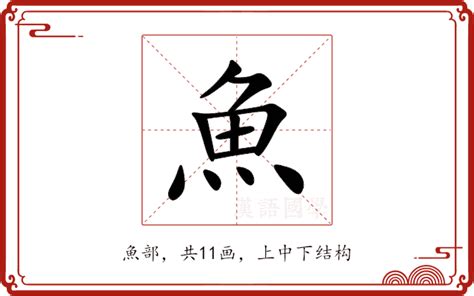 魚意思|鱼（汉语文字）